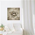 Picture of Eye of the Succulent _GroupedProduct_Square_Photography _GroupedProduct_Square_Unframed_Print_Only_