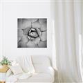 Picture of Eye of the Succulent _GroupedProduct_Square_Photography _GroupedProduct_Square_Unframed_Print_Only_