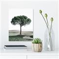 Picture of The Only Tree _GroupedProduct_Rectangle_Portrait_Photography _GroupedProduct_Rectangle_Portrait_Unframed_Print_Only_