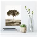 Picture of The Only Tree _GroupedProduct_Rectangle_Portrait_Photography _GroupedProduct_Rectangle_Portrait_Unframed_Print_Only_