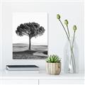 Picture of The Only Tree _GroupedProduct_Rectangle_Portrait_Photography _GroupedProduct_Rectangle_Portrait_Unframed_Print_Only_