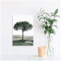 Picture of The Only Tree _GroupedProduct_Rectangle_Portrait_Photography _GroupedProduct_Rectangle_Portrait_Unframed_Print_Only_