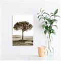 Picture of The Only Tree _GroupedProduct_Rectangle_Portrait_Photography _GroupedProduct_Rectangle_Portrait_Unframed_Print_Only_