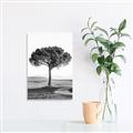 Picture of The Only Tree _GroupedProduct_Rectangle_Portrait_Photography _GroupedProduct_Rectangle_Portrait_Unframed_Print_Only_