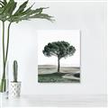 Picture of The Only Tree _GroupedProduct_Rectangle_Portrait_Photography _GroupedProduct_Rectangle_Portrait_Unframed_Print_Only_