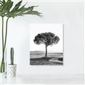 Picture of The Only Tree _GroupedProduct_Rectangle_Portrait_Photography _GroupedProduct_Rectangle_Portrait_Unframed_Print_Only_