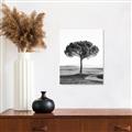 Picture of The Only Tree _GroupedProduct_Rectangle_Portrait_Photography _GroupedProduct_Rectangle_Portrait_Unframed_Print_Only_