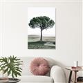 Picture of The Only Tree _GroupedProduct_Rectangle_Portrait_Photography _GroupedProduct_Rectangle_Portrait_Unframed_Print_Only_