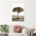 Picture of The Only Tree _GroupedProduct_Rectangle_Portrait_Photography _GroupedProduct_Rectangle_Portrait_Unframed_Print_Only_