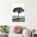 Picture of The Only Tree _GroupedProduct_Rectangle_Portrait_Photography _GroupedProduct_Rectangle_Portrait_Unframed_Print_Only_