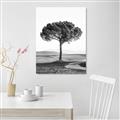 Picture of The Only Tree _GroupedProduct_Rectangle_Portrait_Photography _GroupedProduct_Rectangle_Portrait_Unframed_Print_Only_
