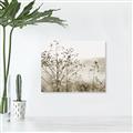 Picture of Neutral Grasses _GroupedProduct_Rectangle_Landscape_Photography _GroupedProduct_Rectangle_Landscape_Unframed_Print_Only_