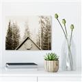 Picture of Forest Cabin _GroupedProduct_Rectangle_Landscape_Photography _GroupedProduct_Rectangle_Landscape_Unframed_Print_Only_