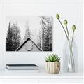 Picture of Forest Cabin _GroupedProduct_Rectangle_Landscape_Photography _GroupedProduct_Rectangle_Landscape_Unframed_Print_Only_