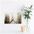 Picture of Forest Cabin _GroupedProduct_Rectangle_Landscape_Photography _GroupedProduct_Rectangle_Landscape_Unframed_Print_Only_