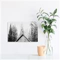 Picture of Forest Cabin _GroupedProduct_Rectangle_Landscape_Photography _GroupedProduct_Rectangle_Landscape_Unframed_Print_Only_