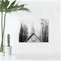 Picture of Forest Cabin _GroupedProduct_Rectangle_Landscape_Photography _GroupedProduct_Rectangle_Landscape_Unframed_Print_Only_