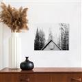 Picture of Forest Cabin _GroupedProduct_Rectangle_Landscape_Photography _GroupedProduct_Rectangle_Landscape_Unframed_Print_Only_