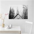 Picture of Forest Cabin _GroupedProduct_Rectangle_Landscape_Photography _GroupedProduct_Rectangle_Landscape_Unframed_Print_Only_