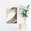 Picture of The Wave _GroupedProduct_Rectangle_Portrait_Photography _GroupedProduct_Rectangle_Portrait_Unframed_Print_Only_