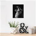 Picture of Yawning lion _GroupedProduct_Rectangle_Portrait_Photography _GroupedProduct_Rectangle_Portrait_Unframed_Print_Only_