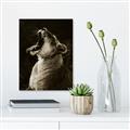 Picture of Yawning lion _GroupedProduct_Rectangle_Portrait_Photography _GroupedProduct_Rectangle_Portrait_Unframed_Print_Only_