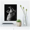 Picture of Yawning lion _GroupedProduct_Rectangle_Portrait_Photography _GroupedProduct_Rectangle_Portrait_Unframed_Print_Only_