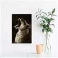 Picture of Yawning lion _GroupedProduct_Rectangle_Portrait_Photography _GroupedProduct_Rectangle_Portrait_Unframed_Print_Only_