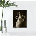Picture of Yawning lion _GroupedProduct_Rectangle_Portrait_Photography _GroupedProduct_Rectangle_Portrait_Unframed_Print_Only_