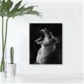 Picture of Yawning lion _GroupedProduct_Rectangle_Portrait_Photography _GroupedProduct_Rectangle_Portrait_Unframed_Print_Only_