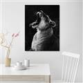Picture of Yawning lion _GroupedProduct_Rectangle_Portrait_Photography _GroupedProduct_Rectangle_Portrait_Unframed_Print_Only_