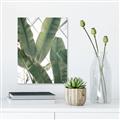 Picture of Banana Plant _GroupedProduct_Rectangle_Portrait_Photography _GroupedProduct_Rectangle_Portrait_Unframed_Print_Only_