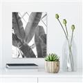 Picture of Banana Plant _GroupedProduct_Rectangle_Portrait_Photography _GroupedProduct_Rectangle_Portrait_Unframed_Print_Only_