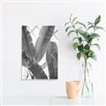 Picture of Banana Plant _GroupedProduct_Rectangle_Portrait_Photography _GroupedProduct_Rectangle_Portrait_Unframed_Print_Only_