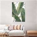 Picture of Banana Plant _GroupedProduct_Rectangle_Portrait_Photography _GroupedProduct_Rectangle_Portrait_Unframed_Print_Only_