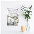 Picture of Tropical Greenhouse lll _GroupedProduct_Rectangle_Portrait_Photography _GroupedProduct_Rectangle_Portrait_Unframed_Print_Only_