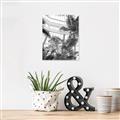 Picture of Tropical Greenhouse ll _GroupedProduct_Rectangle_Portrait_Photography _GroupedProduct_Rectangle_Portrait_Unframed_Print_Only_