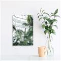 Picture of Tropical Greenhouse ll _GroupedProduct_Rectangle_Portrait_Photography _GroupedProduct_Rectangle_Portrait_Unframed_Print_Only_