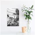 Picture of Tropical Greenhouse ll _GroupedProduct_Rectangle_Portrait_Photography _GroupedProduct_Rectangle_Portrait_Unframed_Print_Only_