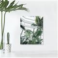 Picture of Tropical Greenhouse ll _GroupedProduct_Rectangle_Portrait_Photography _GroupedProduct_Rectangle_Portrait_Unframed_Print_Only_