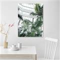 Picture of Tropical Greenhouse ll _GroupedProduct_Rectangle_Portrait_Photography _GroupedProduct_Rectangle_Portrait_Unframed_Print_Only_