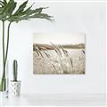Picture of Fall Beach _GroupedProduct_Rectangle_Landscape_Photography _GroupedProduct_Rectangle_Landscape_Unframed_Print_Only_