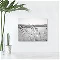 Picture of Fall Beach _GroupedProduct_Rectangle_Landscape_Photography _GroupedProduct_Rectangle_Landscape_Unframed_Print_Only_
