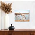 Picture of Fall Beach _GroupedProduct_Rectangle_Landscape_Photography _GroupedProduct_Rectangle_Landscape_Unframed_Print_Only_