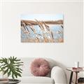 Picture of Fall Beach _GroupedProduct_Rectangle_Landscape_Photography _GroupedProduct_Rectangle_Landscape_Unframed_Print_Only_