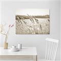 Picture of Fall Beach _GroupedProduct_Rectangle_Landscape_Photography _GroupedProduct_Rectangle_Landscape_Unframed_Print_Only_
