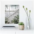 Picture of Green house IV _GroupedProduct_Rectangle_Portrait_Photography _GroupedProduct_Rectangle_Portrait_Unframed_Print_Only_