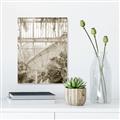 Picture of Green house IV _GroupedProduct_Rectangle_Portrait_Photography _GroupedProduct_Rectangle_Portrait_Unframed_Print_Only_