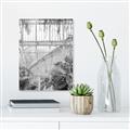 Picture of Green house IV _GroupedProduct_Rectangle_Portrait_Photography _GroupedProduct_Rectangle_Portrait_Unframed_Print_Only_