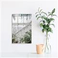 Picture of Green house IV _GroupedProduct_Rectangle_Portrait_Photography _GroupedProduct_Rectangle_Portrait_Unframed_Print_Only_